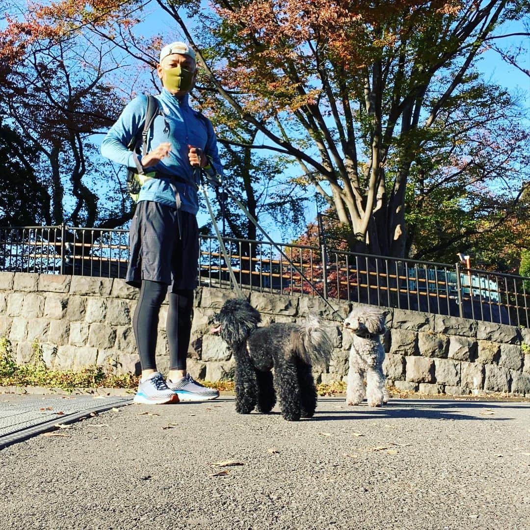 田村亮のインスタグラム：「やっぱ、駒沢公園は良いね。  #ロンブー亮 #犬ラン #ほぼ散歩 #久しぶりの昼ラン #ロンブー亮バーチャル駅伝  #岩手県北上　 #40区ランナー募集中」