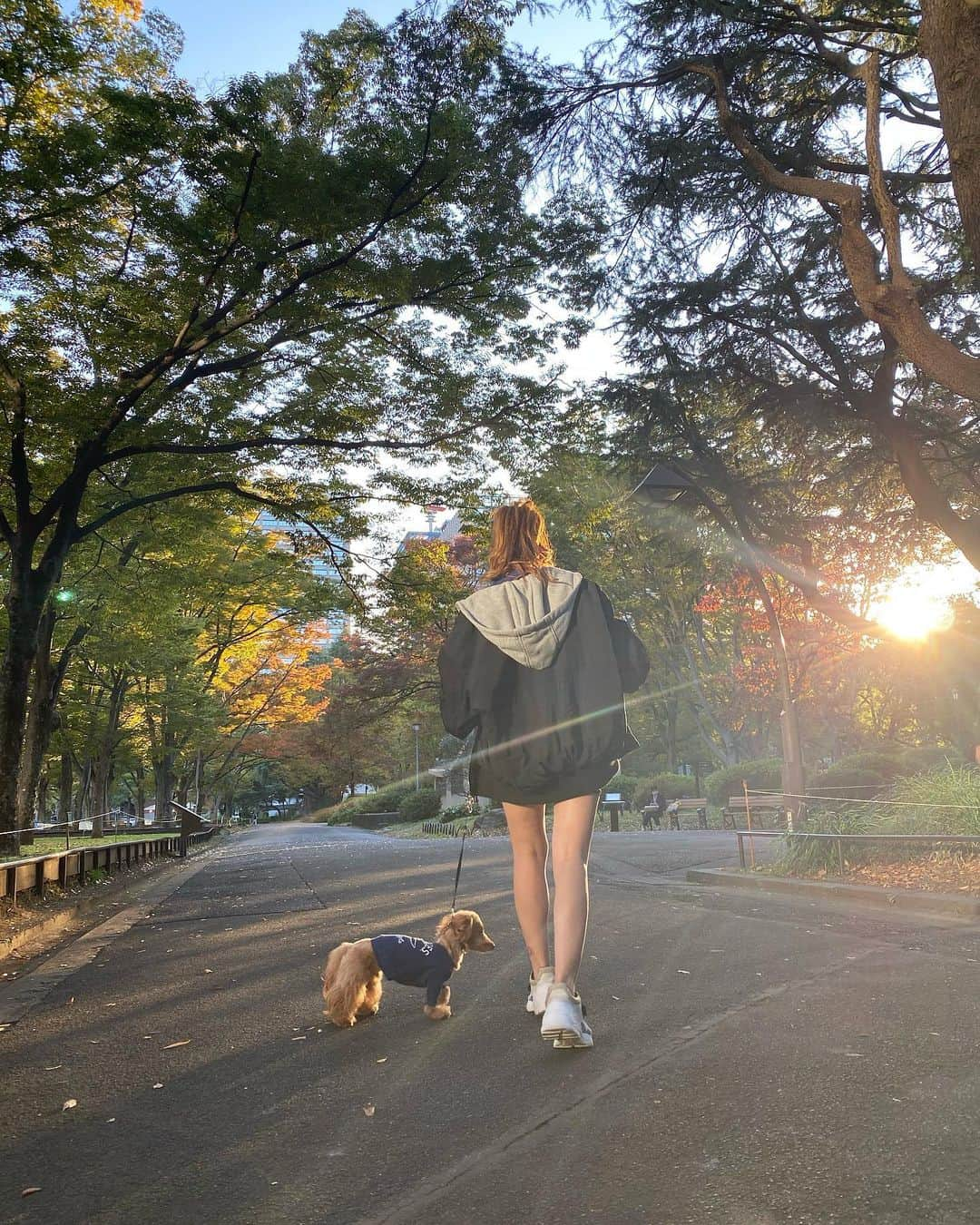 CHIHAさんのインスタグラム写真 - (CHIHAInstagram)「#autumn 🍂 @1218teddy」11月13日 14時51分 - chiha6170