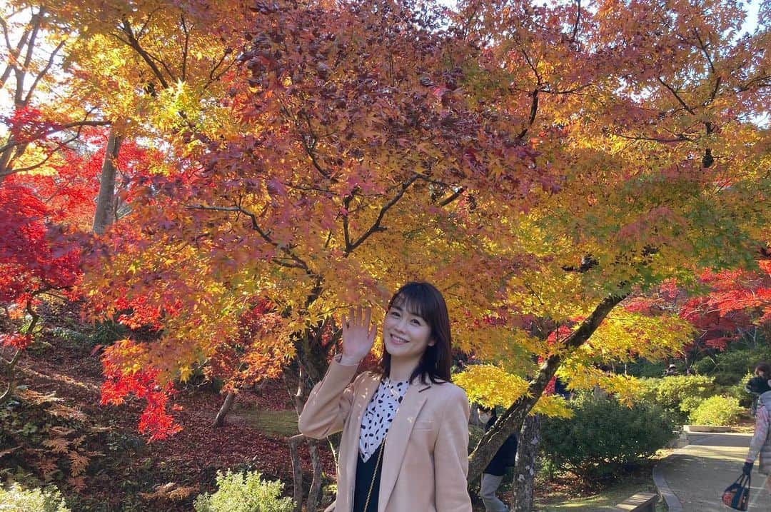 高井瑛子さんのインスタグラム写真 - (高井瑛子Instagram)「. . 弥彦公園もみじ谷の紅葉を見に行ってきました。 . . 天気も最高。 太陽に照らされて赤や黄色、 オレンジ色に染まった葉が キラキラと輝いていました。 とっても綺麗でした。 . . 一緒に行った「ナマ＋トク」の “食べトクディレクター”蝶名林さんは 写真を撮るのが上手なんです。 . さらに、私を撮るのがとっても上手なんです。 （ありがとうございます🥰） . . . ------------------------------------------- #新潟テレビ21 #アナウンサー #ux #弥彦公園もみじ谷 #弥彦 #もみじ谷 #紅葉 #弥彦紅葉 #ナマトク #食べトク #紅葉狩り #新潟観光」11月13日 15時05分 - ux_takai.eiko
