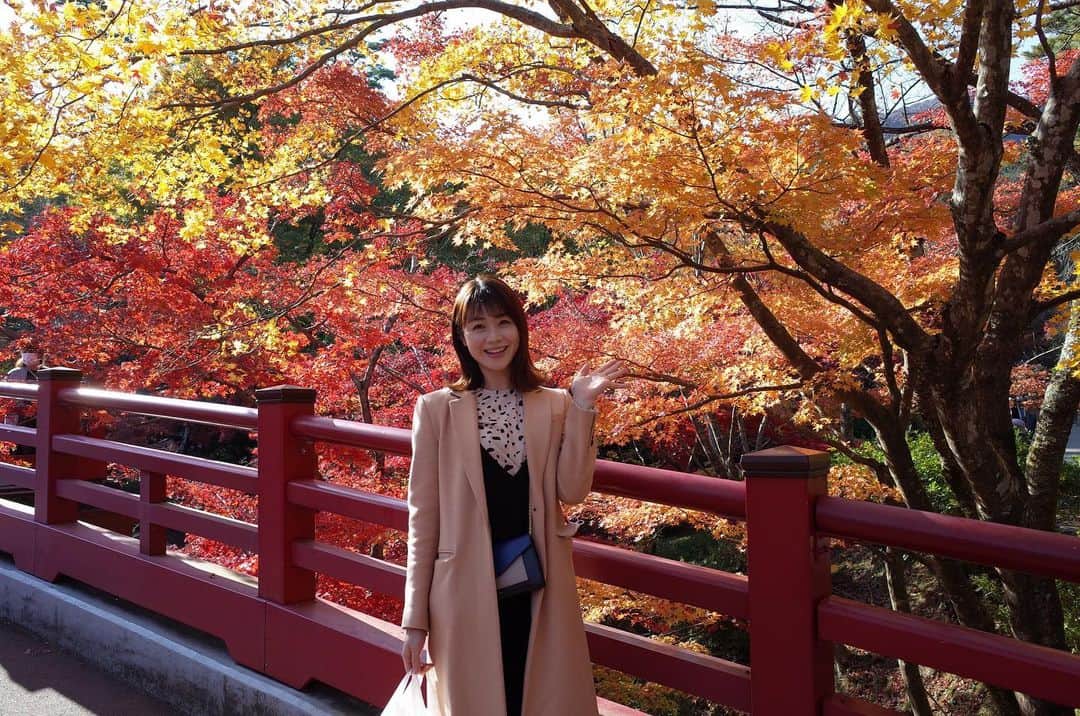 高井瑛子のインスタグラム：「. . 弥彦公園もみじ谷の紅葉を見に行ってきました。 . . 天気も最高。 太陽に照らされて赤や黄色、 オレンジ色に染まった葉が キラキラと輝いていました。 とっても綺麗でした。 . . 一緒に行った「ナマ＋トク」の “食べトクディレクター”蝶名林さんは 写真を撮るのが上手なんです。 . さらに、私を撮るのがとっても上手なんです。 （ありがとうございます🥰） . . . ------------------------------------------- #新潟テレビ21 #アナウンサー #ux #弥彦公園もみじ谷 #弥彦 #もみじ谷 #紅葉 #弥彦紅葉 #ナマトク #食べトク #紅葉狩り #新潟観光」