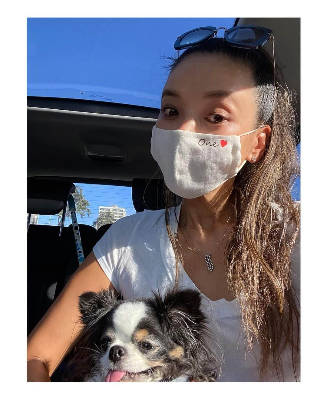 和央ようかさんのインスタグラム写真 - (和央ようかInstagram)「In the car 🚗🐶😊  クルマの中でどんどん🐶とセルフィー😊マスク、絶賛受付中😊予想以上の申し込みに嬉しい😊🙏でも、麻とコットンの重ねで鼻も調節出来るし、これは本当おすすめできる😊👍 今日はOne ❤️マスク😊もし気になったら、HPから見てね😊  Have a nice day😊  #takakoworldstylin🌎 #lifestyle #hawaii #オリジナルマスク #天井開いて見えるけど開いてないから🤣🤣 #dondon🐶#どんどん🐶#yokawao #和央ようか」11月13日 15時09分 - yokawao0215