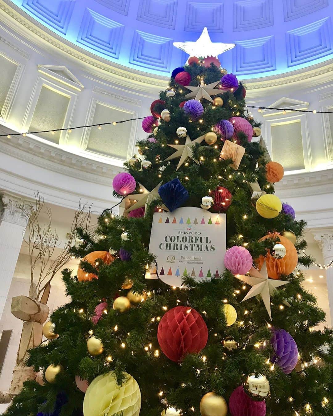 のインスタグラム：「今年もホテル館内にクリスマスツリーが登場しました！彩り鮮やかなデコレーションでみなさまに笑顔になってもらいたいという想いから『SHINYOKO COLORFUL CHRISTMAS』 をテーマにいたしました。ペーパーオーナメントや、自然素材で作った白樺のトナカイやコルクのオブジェ等、サスティナブルなアイテムも取り入れています。ツリーから流れるクリスマスソングで華やかな空間を演出いたします。ぜひ、お立ち寄りください🎄✨⁣ ⁣ With the holiday season approaching, the Christmas tree is back at the hotel lobby! This year, with the theme "SHINYOKO COLORFUL CHRISTMAS," we hope to bring smiles and joy to our guests with the colorful decorations. Details feature many sustainable materials, such as paper ornaments, birch-made reindeer and cork-made objects. Come enjoy the festive mood in the lavish atmosphere with Christmas songs playing around the tree🎄✨⁣ ⁣ #新横浜プリンスホテル#プリンスホテル#新横浜#横浜 #ホテルレストラン #ホテル#新横浜駅 #クリスマス #クリスマスステイ #クリスマスツリー #クリスマスデコレーション #クリスマス2020 #クリスマスパーティ #クリスマス装飾 #サスティナブル#SDGs #クリスマス飾り #クリスマスデート #クリスマス気分 #xmas #xmastree #shinyokohamaprincehotel#princehotel#shinyokohama#yokohama#hotel #christmas #christmas2020」