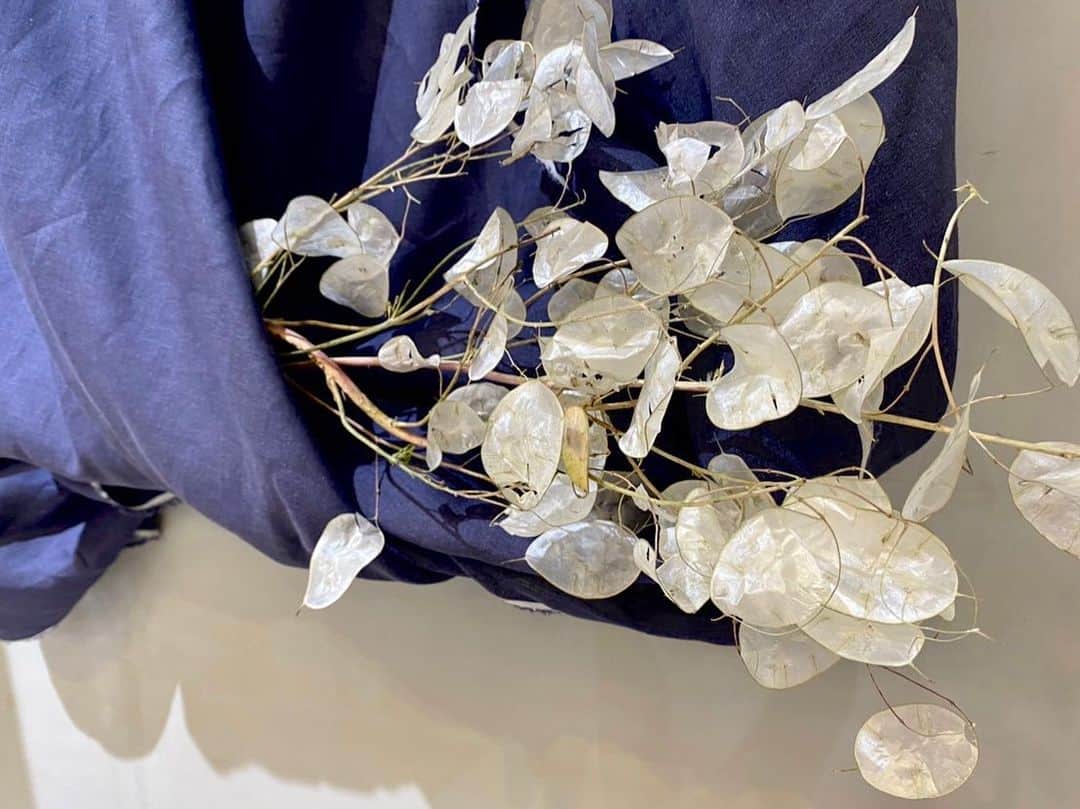 アルマリアンFUKUOKA　公式さんのインスタグラム写真 - (アルマリアンFUKUOKA　公式Instagram)「🌷🌷 【 #今週のお花 】🌷🌷 ㅤㅤㅤㅤㅤㅤㅤㅤㅤㅤㅤㅤㅤ 品種:ルナリア  半透明でキラキラしている こちらの植物はルナリア🌿 ドライフラワー加工をした物で、 クラッチブーケやオールホワイトブーケのアクセントに オススメです☁️  袖付きのクラシカルなドレスや ラスティックな会場装飾にもピッタリです…♡  #ラグナプリエ ではお客様ひとりひとりに デッサンを描き、オーダーメイド製作をしております。  特別な日には、特別な意味のあるものを。  　　ㅤㅤㅤㅤㅤㅤㅤㅤㅤㅤㅤㅤ …━━━━━━━━━━… ㅤㅤㅤㅤㅤㅤㅤㅤㅤㅤㅤㅤㅤ 　ブライダルフェアまたは 　オンライン相談会のご予約は 　プロフィールのURLより 　お待ちしております…♡ ㅤㅤㅤㅤㅤㅤㅤㅤㅤㅤㅤㅤㅤ …━━━━━━━━━━…  ㅤㅤㅤㅤㅤㅤㅤㅤㅤㅤㅤㅤㅤㅤㅤㅤㅤㅤㅤㅤㅤㅤㅤㅤㅤㅤ #almalienfukuoka  #アルマリアン福岡 #ウェディング  #ブライダルフェア #令和婚 #2021春婚 #2021秋婚 #結婚式決行 #ウェディング準備 #絆wedding #プレ花嫁さんと繋がりたい  #福岡花嫁 #marry花嫁 #エスクリ #アルマリ花嫁 #ウェディングブーケ #ラスティック  #結婚式 #福岡 #天神 #前撮り #weddingbouquet #式場探し #披露宴 #ウェディングフォト #marryxoxo #みんなのウェディング」11月13日 16時01分 - almalien_fukuoka