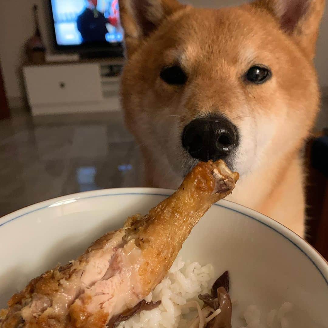 Coffeeのインスタグラム：「雞腿🍗 美味 うまい #coffee_and_apple」