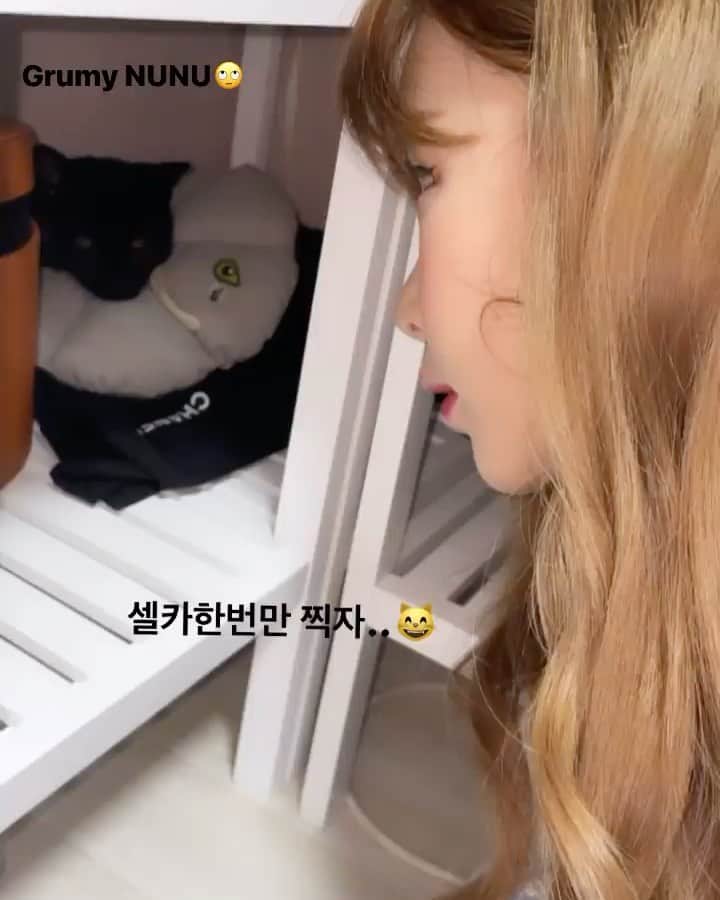 ウェイ のインスタグラム：「질척대마왕 웨이찡🤍 Grumpy NUNU🖤 #임보중」