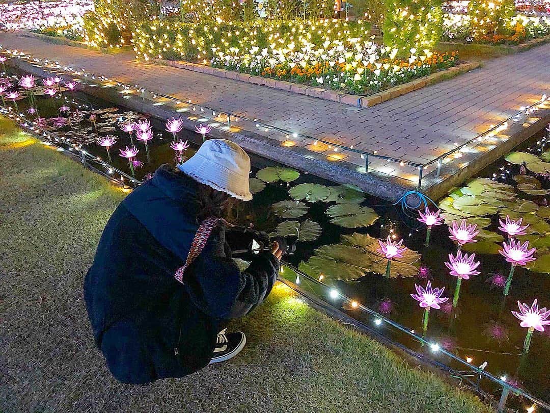 福士奈央さんのインスタグラム写真 - (福士奈央Instagram)「ㅤㅤㅤㅤㅤㅤㅤㅤㅤㅤㅤㅤㅤ 新入りのカメラでいっぱい撮りました📸 ㅤㅤㅤㅤㅤㅤㅤㅤㅤㅤㅤㅤㅤ これからいっぱい色んなところ一緒に行こうね☻📷 何よりもカメラ達が1番大事なので愛情いっぱい大切に使います。 ㅤㅤㅤㅤㅤㅤㅤㅤㅤㅤㅤㅤㅤ ㅤㅤㅤㅤㅤㅤㅤㅤㅤㅤㅤㅤㅤ #camera #sony #カメラのある生活 #あしかがフラワーパーク」11月13日 16時20分 - ske48_fukushi