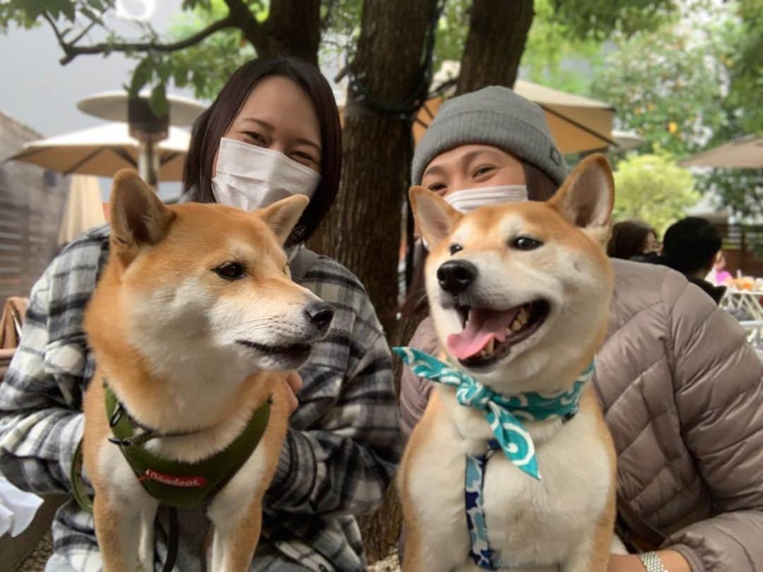高橋みゆきさんのインスタグラム写真 - (高橋みゆきInstagram)「急遽のランチ会🥞ついにクラ吉とダイズ🐶ご対面💞ダイズのマザコンっぷりも見れたし😁そして想像以上にダイズがお利口でした😀👏笑 #表参道 #ランチ #公園 #同級生遊び回ってました #ダイズん #豆柴 #子供もわんこも可愛いなぁ #癒し #子育て #妊活 #妊婦 #話題がほぼこれw #楽しいなぁ」11月13日 16時47分 - shin_miyukichi