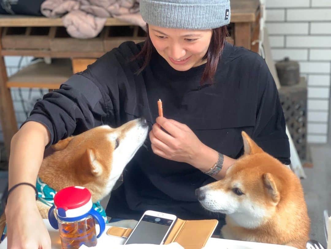 高橋みゆきさんのインスタグラム写真 - (高橋みゆきInstagram)「急遽のランチ会🥞ついにクラ吉とダイズ🐶ご対面💞ダイズのマザコンっぷりも見れたし😁そして想像以上にダイズがお利口でした😀👏笑 #表参道 #ランチ #公園 #同級生遊び回ってました #ダイズん #豆柴 #子供もわんこも可愛いなぁ #癒し #子育て #妊活 #妊婦 #話題がほぼこれw #楽しいなぁ」11月13日 16時47分 - shin_miyukichi