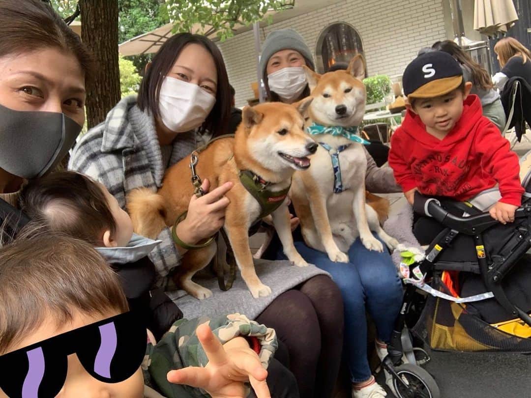 高橋みゆきのインスタグラム：「急遽のランチ会🥞ついにクラ吉とダイズ🐶ご対面💞ダイズのマザコンっぷりも見れたし😁そして想像以上にダイズがお利口でした😀👏笑 #表参道 #ランチ #公園 #同級生遊び回ってました #ダイズん #豆柴 #子供もわんこも可愛いなぁ #癒し #子育て #妊活 #妊婦 #話題がほぼこれw #楽しいなぁ」