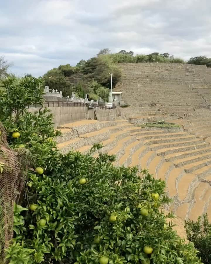 石田靖のインスタグラム