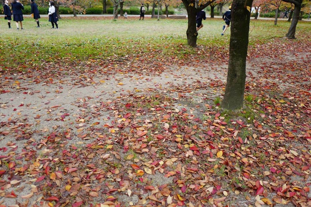 行方 久子 Hisako Namekataさんのインスタグラム写真 - (行方 久子 Hisako NamekataInstagram)「. はしゃぐ子供たちと紅葉はとっても良かった🍁」11月13日 17時19分 - hisakonamekata