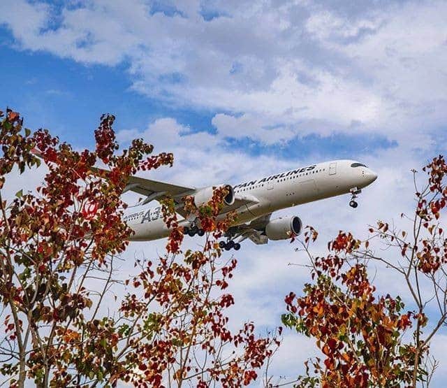 JALさんのインスタグラム写真 - (JALInstagram)「The autumn colors frame the A350 nicely, as it zips across the sky. #WorldlyNovember  色づく木々の間から顔をのぞかせた凛々しい姿のA350 ✈︎ . . Photo by @pop_bebop Post your memories with #FlyJAL  #JapanAirlines #travel #airplane #travelawesome #momentofmine」11月13日 17時30分 - japanairlines_jal