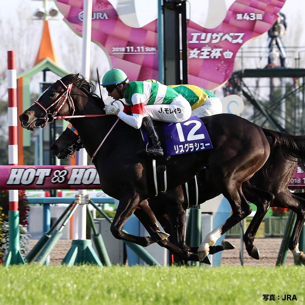 umabi_officialのインスタグラム：「今週末は、エリザベス女王杯(GI)  #2018年の優勝馬は #リスグラシュー #翌年の2019年には #宝塚記念 #コックスプレート #有馬記念 と #GI3連勝で引退したよ #うまび #エリザベス女王杯」