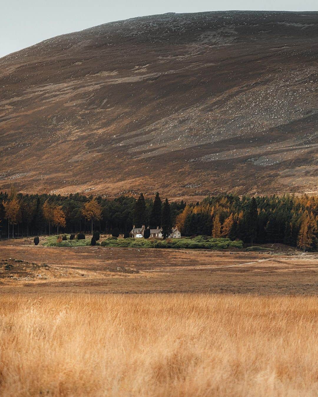 MR PORTERのインスタグラム：「“A densely populated city can be far lonelier than a barren stretch of moorland during a vicious storm – true silence is best pursued in our more remote corners.” Tap the link in bio to award-winning novelist Ben Myer’s essay on the restorative power of nature. Join us as we head for the wild, open country. #MRPORTERinthewilderness」