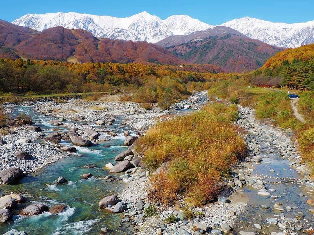 botanist officialさんのインスタグラム写真 - (botanist officialInstagram)「#絶景ボタニカル 🗻 ここは、長野県白馬村の松川（姫川水系）に架かる白馬大橋から見える景色。 この時期しか見れない、白馬三山のとても希少な景色 #三段紅葉 は、ご存知ですか？ ⠀⠀ 三段紅葉とは、緑（麓の樹木の緑）、赤（山の中腹の紅葉）、白（山頂の冠雪）の3色が、山を彩ることを言います。 白馬三山の自然がもたらす美しいグラデーションは、まさに日本の絶景スポット。 ⠀⠀ 近年、国際的な「マウンテンリゾート」として注目が集まっています。 2018年の秋、北アルプスの大絶景を望む「白馬マウンテン・ハーバー（HAKUBA MOUNTAIN HARBOR）」山頂テラスがオープンし、一層大人気の観光スポットです。 ⠀⠀ 標高差2,200mを一望できる、白馬岩岳ならではの景色をお楽しみください♪ ⠀⠀ 📍：白馬岩岳 📸：@akfm59 ⠀⠀ #BOTANIST #ボタニスト #botanisttokyo #ボタニストトウキョウ #botanicalbeauty ⠀⠀ 🗼@botanist_tokyo 🌍@botanist_global 🇨🇳@botanist_chinese」11月13日 17時41分 - botanist_official