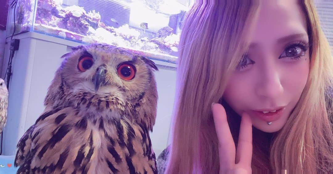 あきるなのインスタグラム：「猫もだけどフクロウ、タカも 爪伸びるの早い🦉 . . . #ベンガルワシミミズク #カラフトフクロウ #フクロウ #セルフィー #ギャル #キャバ嬢 #ペットのいる生活 #猛禽類 #鷹 #自撮り #自撮り女子 #多頭飼い #珍獣 #ふわもこ部 #owl #owlstagram #owllover #owllove #falcon #youtube #youtuber #petstagram #petsofinstagram #pet #raptor #selfie #me #cute」