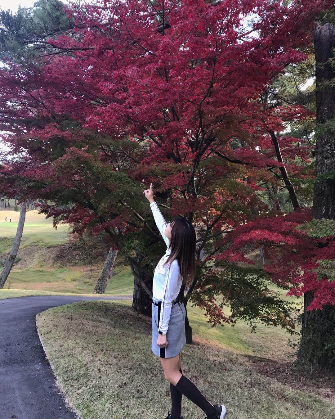 米澤有さんのインスタグラム写真 - (米澤有Instagram)「紅葉綺麗だったなぁ😊🍁  #golf #golfwear #autumn #archivio #goodweather」11月13日 17時56分 - yu.u.yonezawa