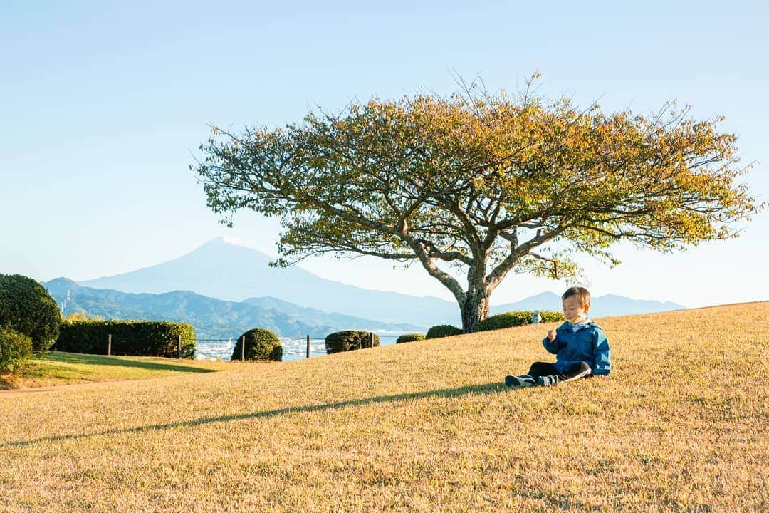 石井寛子のインスタグラム：「朝日を浴びながら 富士山を眺め散歩🚶‍♀️  子供たち、富士山の存在はしってたけど こんなに大きいとは思わなかったみたい。  ながい影で遊んだり ふかふかの芝をいったりきたり  11月のはじめ ただただゆっくりする家族旅🍵  静岡県　#日本平ホテル 　にて。  #ママカメラ #ママカメラマン #こどもと暮らす  #こどもとの時間 #kodomono_photo #ファインダー越しの私の世界 #gotoキャンペーン  #静岡県 #家族旅行」