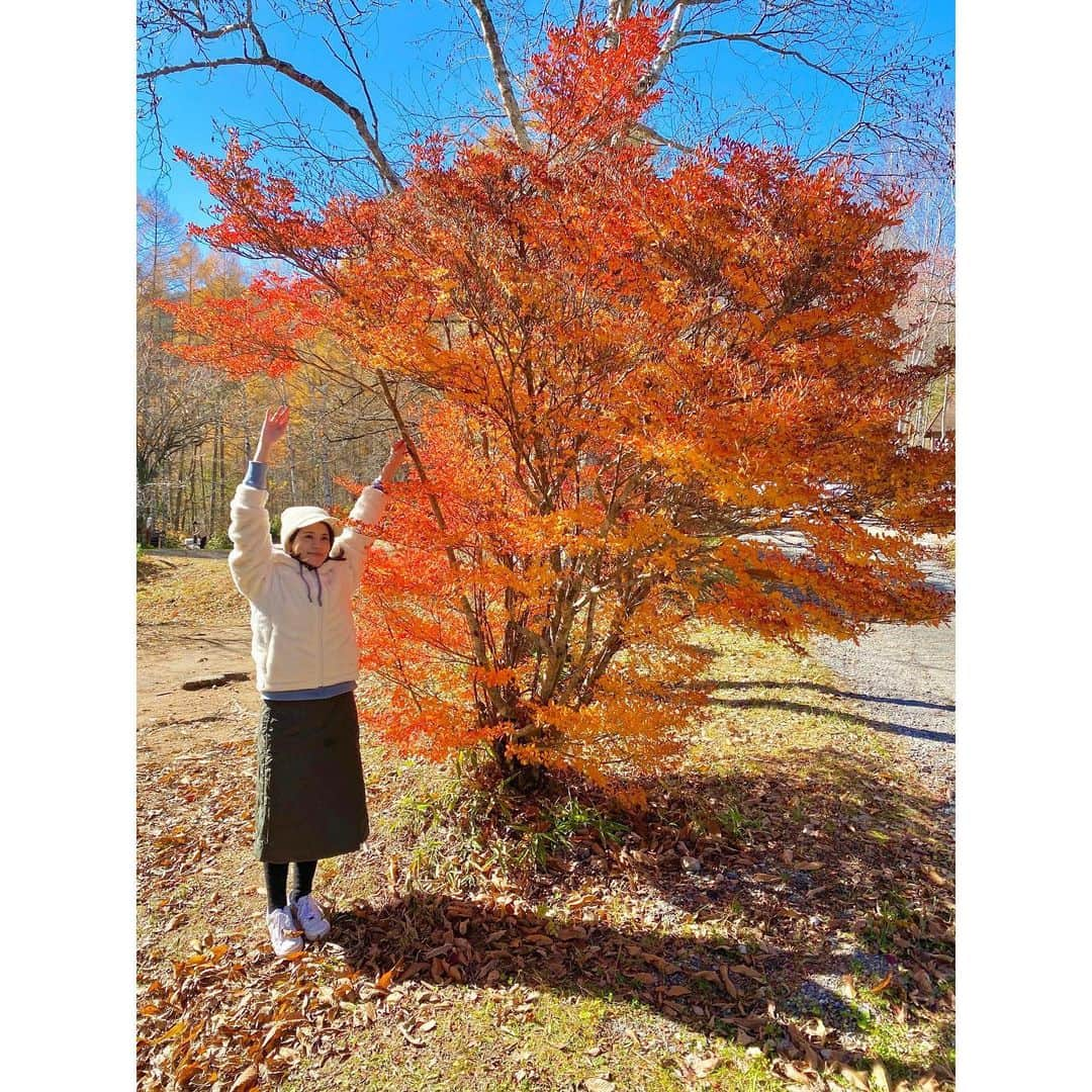 永島優美さんのインスタグラム写真 - (永島優美Instagram)「* たっぷり森林浴☺️🌿🍃 こんなに色付いている葉っぱに 囲まれるのは初めてでした🍁  星空も綺麗で なんだかキャンプにハマりそうです🥺🏕  * #キャンプ #紅葉 #星空 #星は写真に写っている倍ありました🙋🏻‍♀️」11月13日 18時29分 - yuumi_nagashima