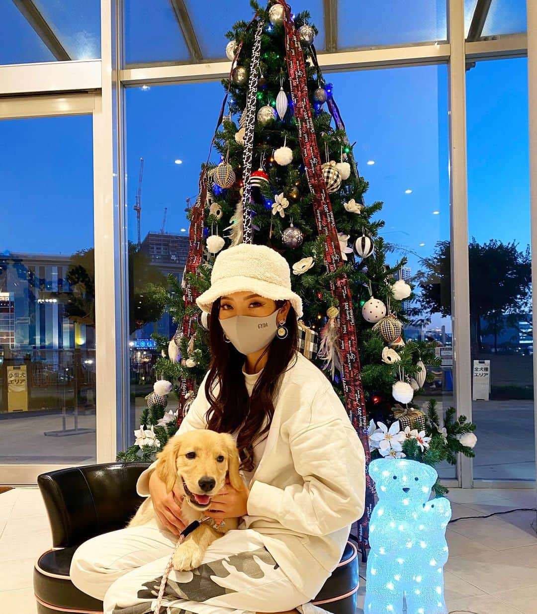 KIKIのインスタグラム：「一昨日もドックラン行ったのに まーたいってきたよん ヒマお友達と遊べるようになって 嬉しい😃💓 遊ぼって出来なくてみんなの輪の後ろ ついて行くくらいしか出来なかったのに おっかけっこ出来るようになりました🥺  * * * * *  #犬#ゴールデンレトリバー#パピー #ドックラン#豊洲  #バーレスク #burlesque#party #日本#japan#roppongi#六本木 #音楽#music#dj#club#クラブ #女の子#ギャル#ぎゃる #dance#gogo#sexy#girl #私服#ホワイトコーデ  #longhair」