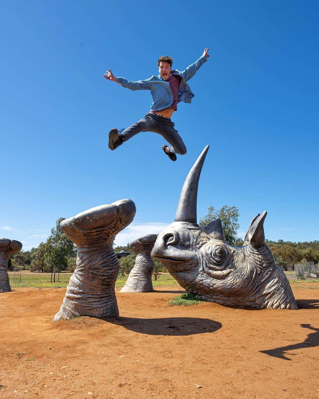 アラン・ディクソンのインスタグラム：「Fun fact: I got a knee reconstruction about 6 years ago. Unsure if I should be jumping off this. 🏋️  Currently finishing a banger of a video, The Quokka Documentary, "Quokumentary" it will be out ASAP, within two weeks or less. Huge thanks to @zoossa for helping with the quokka conservation side of it!   Also this Rhino art is part of their huge Safari Park. If you're going to do conservation or keep wildlife, we all prefer big open plans for animals to roam around and be sane.  #monarto #safari #safaripark #australia #rhino #wildlife #art #southaustralia」