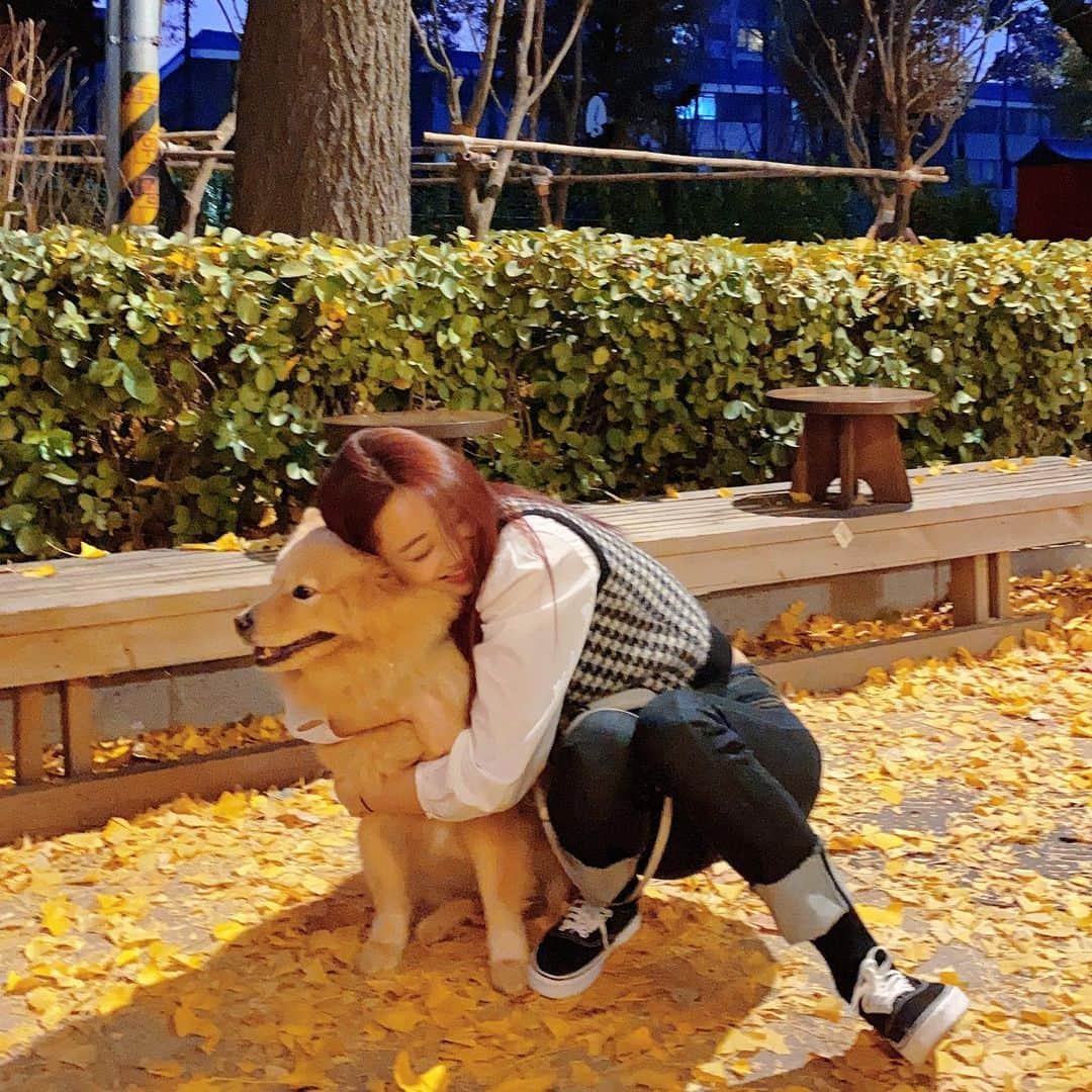 ギョンリ のインスタグラム：「단풍, 오늘 시로 다이어트 중에 펫요거트도 먹구 호강🤎 @ice_siro 시로랑 저 많이 닮았나요🐻」