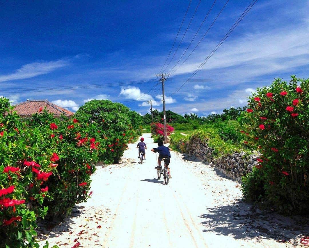 Be.okinawaのインスタグラム：「Pedal around the island and kick up your heels like a kid!  📍: Taketomi Island 📷: @kiyotaka_kitajima_photo Thank you very much for your wonderful photos!  Taketomi Island, located 10 to 15 minutes by ferry from Ishigaki Island, preserves the scenery of Okinawa from long ago. You can cycle around the island in an hour. 😉  Hold on a little bit longer until the day we can welcome you! Experience the charm of Okinawa at home for now! #okinawaathome #staysafe  Tag your own photos from your past memories in Okinawa with #visitokinawa / #beokinawa to give us permission to repost!  #yaeyamaislands #taketomiisland #八重山諸島 #竹富島 #八重山群島 #야에야마제도 #다케토미섬 #japantravelphoto #japan #travelgram #instatravel #okinawa #doyoutravel #japan_of_insta #passportready #japantrip #traveldestination #okinawajapan #okinawatrip #沖縄 #沖繩 #오키나와 #旅行 #여행 #打卡 #여행스타그램」