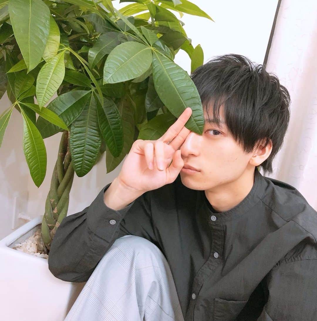 岡田翔大郎さんのインスタグラム写真 - (岡田翔大郎Instagram)「. 観葉植物と心を通じ合わせた🌵 ほんの少しだけ癒された気がする。(笑)」11月13日 19時07分 - okadashotaro_official