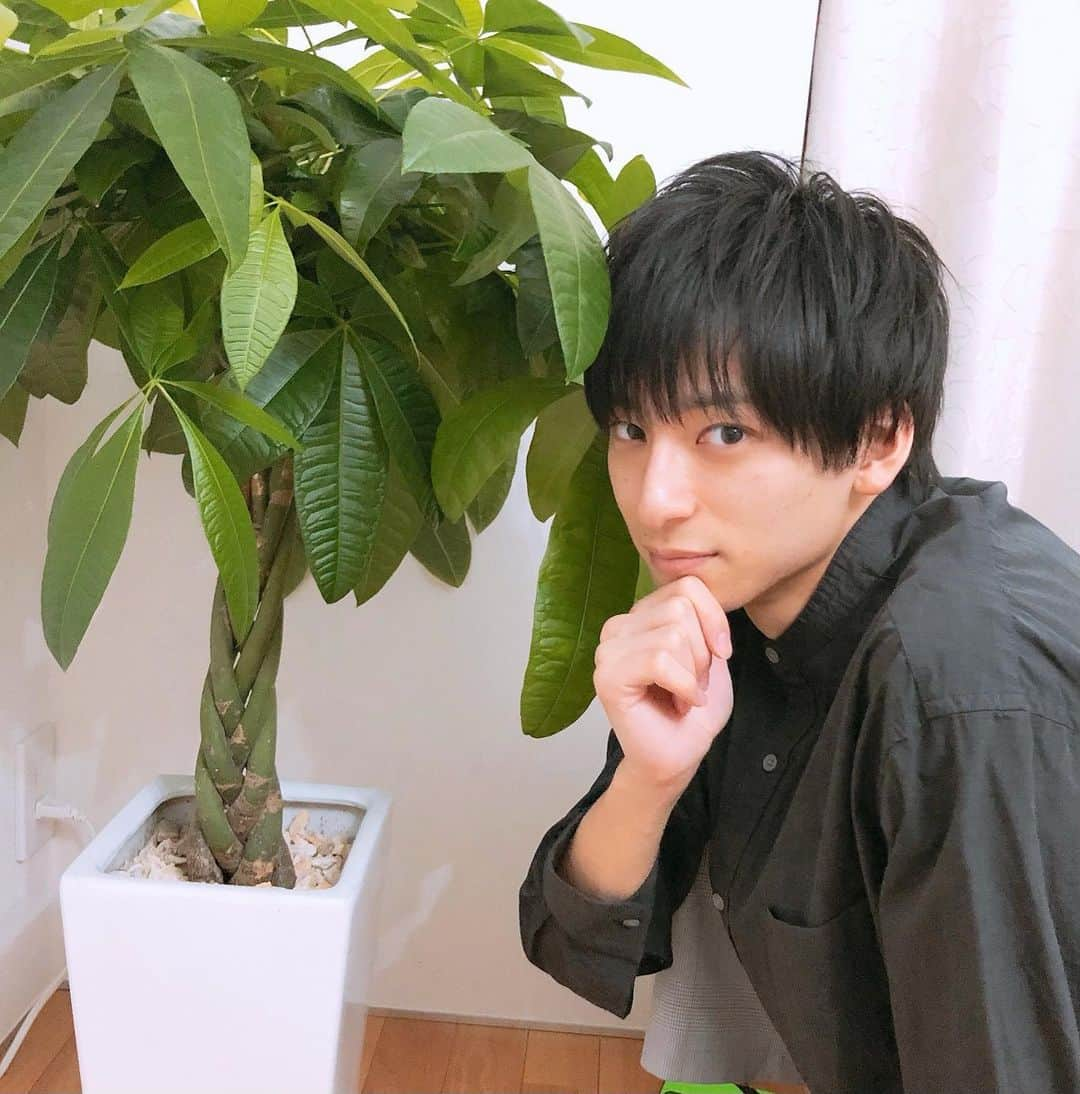 岡田翔大郎のインスタグラム：「. 観葉植物と心を通じ合わせた🌵 ほんの少しだけ癒された気がする。(笑)」