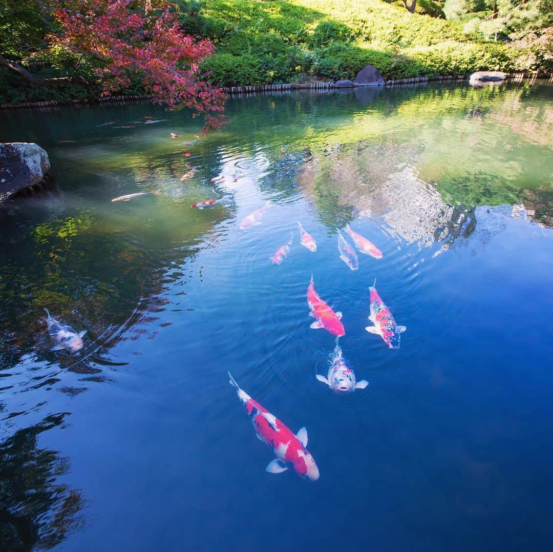 八芳園のインスタグラム