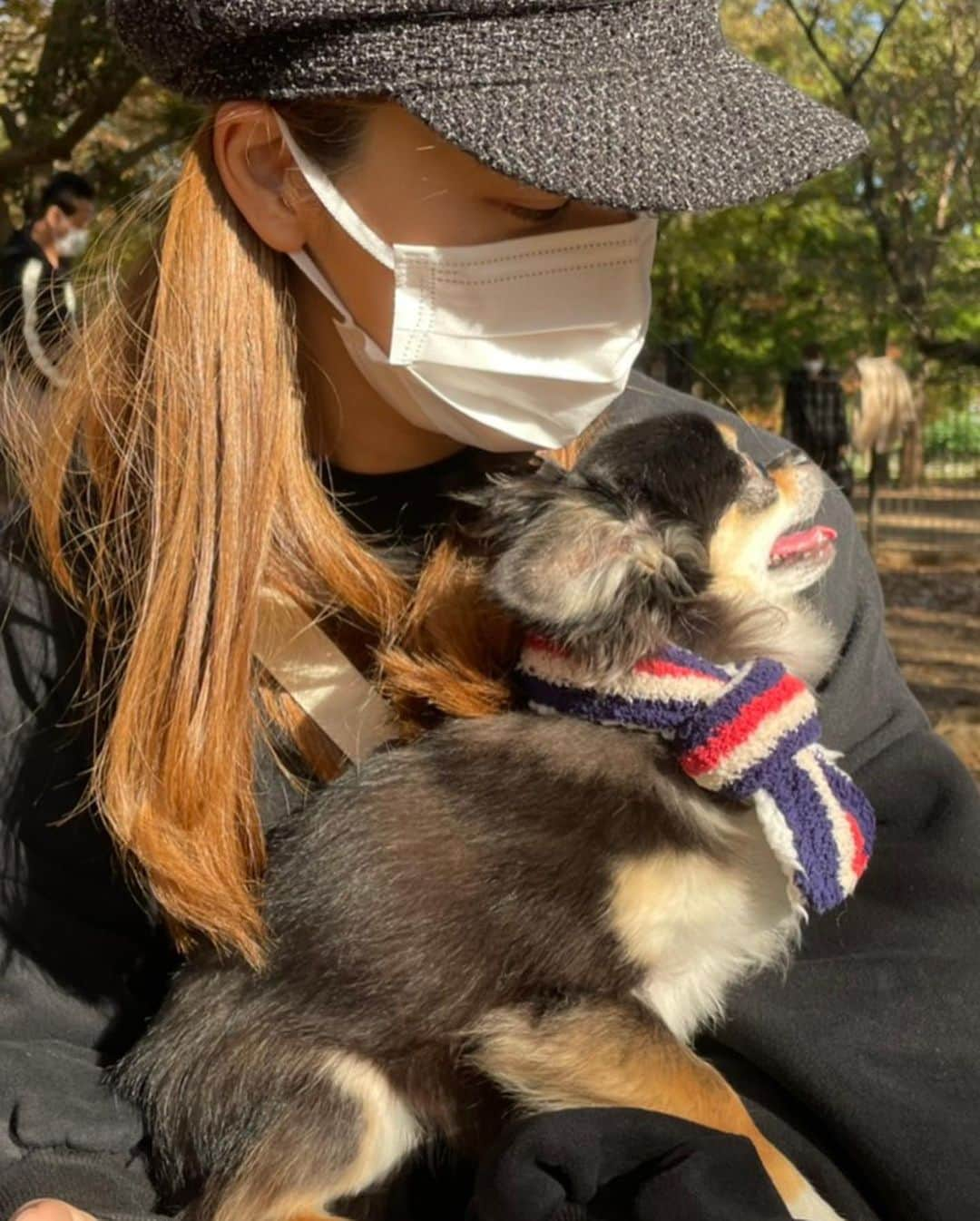 前田ゆうさんのインスタグラム写真 - (前田ゆうInstagram)「びーたむそんそんとそらくん🐶 ドッグランにいってきたよん😇❗️らちゃん、けーたん、まいまいにかわいがってもらってゴキゲンさん🥳💓  しかしそらくんとのツーショットがとれなかったぁ😭😭😭  #SNOOPY とチワワ🐶💓」11月13日 19時19分 - yuu_maeda