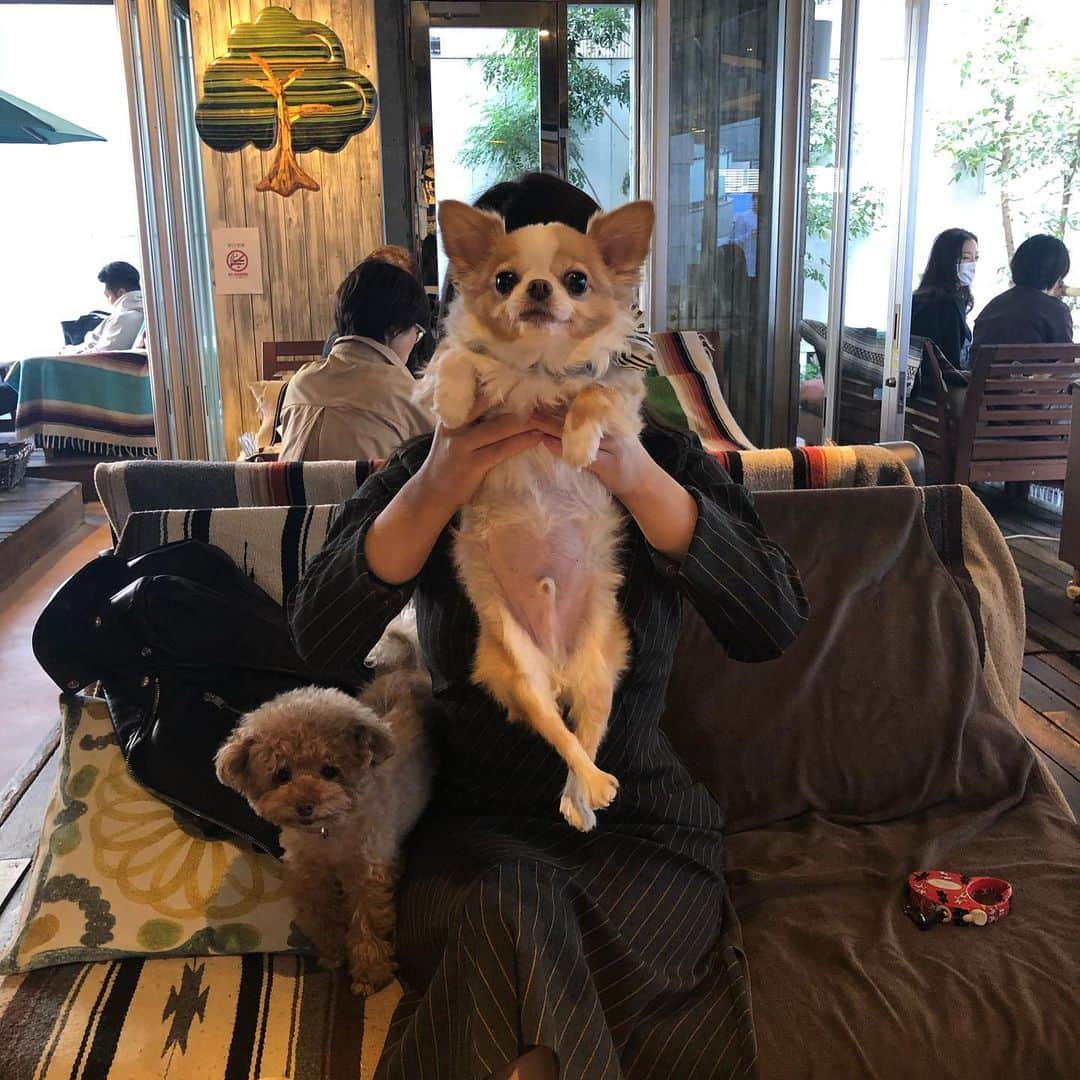 玉ねぎ戦士のグルメインスタ