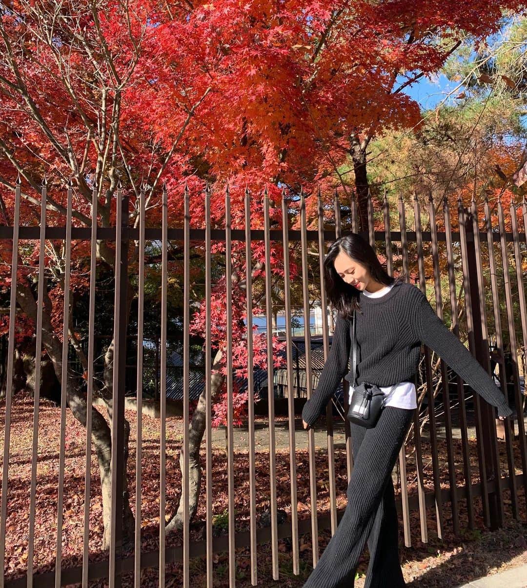 高橋まりさんのインスタグラム写真 - (高橋まりInstagram)「紅葉が綺麗だった🍁 あと、最近ボーイッシュな格好にハマっている🥳  #autumn #autumnvibes🍁  #コーデ　#ボーイッシュ　#モノトーン　#fashion #ootd #margela #uniqlo」11月13日 19時25分 - maributa1112