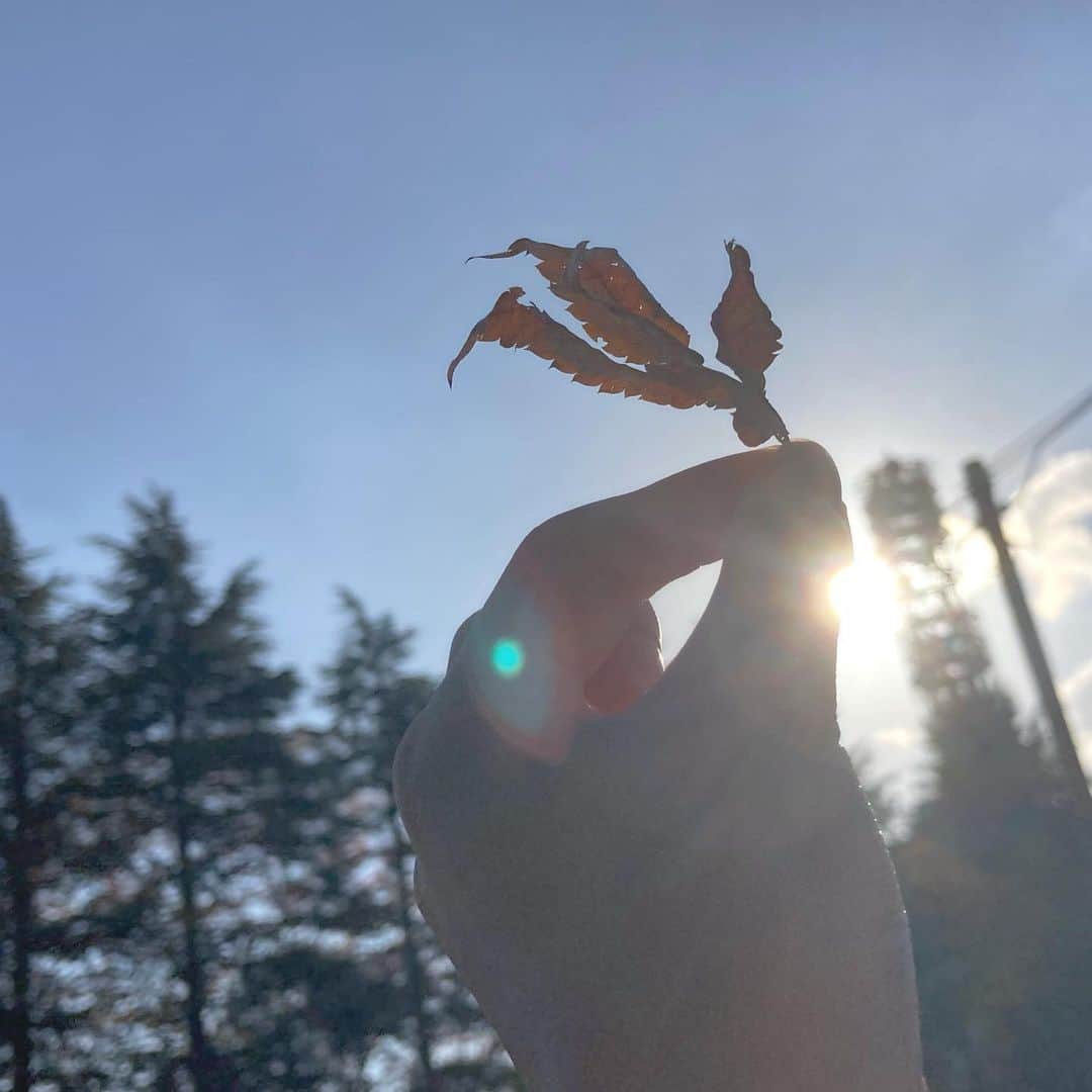 Dorothy Little Happyのインスタグラム：「大好きな冬がやって来る、、、🤍 飛んできた紅葉の葉をパシャリっ ・ ・ ・ 冬。皆で思い出作りたいナ𓂃𓈒🥀✯ ・ ・ ・ #齋藤きらら  #冬 #紅葉」