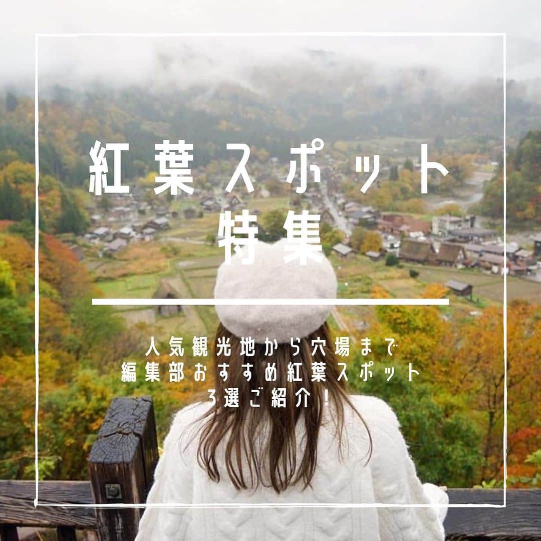 SUCLEさんのインスタグラム写真 - (SUCLEInstagram)「#紅葉スポット   編集部おすすめ紅葉スポットご紹介🍁  人気スポットから穴場スポットまで おすすめ紅葉スポットを3つご紹介します！  ぜひ保存して参考にしてみてね🍂  ※場所によっては見頃を終えている所もあります。  ﻿ ﻿ @sucle_  では紹介する写真を募集中👧🏻 タグ付けやハッシュタグをつけてくれた投稿からもピックアップした写真をリポストしています！﻿ #sucle をつける か このアカウントをタグ付けして投稿してね📸﻿ ﻿  #sucle#シュクレ#国営ひたち海浜公園 #国営ひたち海浜公園コキア #コキア#紅葉 #紅葉狩り #紅葉デート #紅葉スポット #紅葉スポット🍁 #紅葉🍁 #昭和記念公園 #国営昭和記念公園 #昭和記念公園紅葉 #紅葉2020 #白川郷 #白川郷合掌村 #白川郷紅葉#紅葉巡り #昭和記念公園紅葉 #ひたち海浜公園コキア #立川観光#観光スポット #観光スポット巡り #観光スポットガイド#秋の風景 #秋のお出かけ」11月13日 19時29分 - sucle_