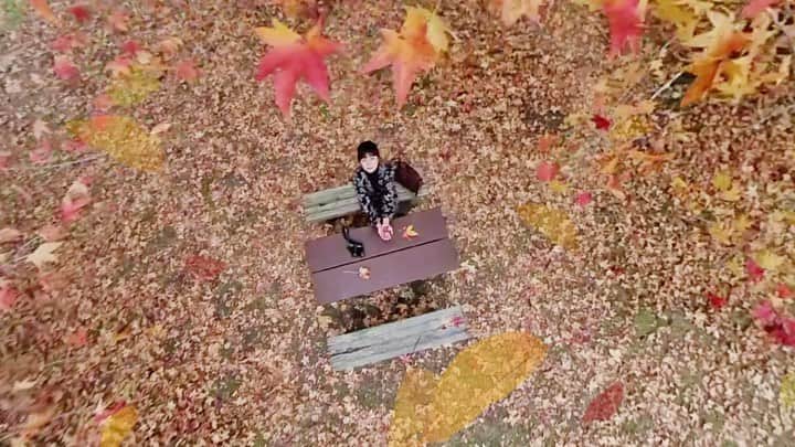 shinichi38のインスタグラム：「﻿ ﻿ Fallen leaves 🍂﻿ ﻿ ﻿ 今回VLLOという﻿ 動画編集アプリを使ってみました♪﻿ スマホで簡単に編集できちゃって﻿ お手軽さハンパないです☺︎﻿ お気に入りの落ち葉のテンプレートを﻿ 追加して秋らしさをプラスしてます🍂﻿ ストーリーズでも編集方法を﻿ 載せているので是非見てから﻿ 皆も使ってみてね🎬﻿ ﻿ #vllo #ブロ #動画編集 #動画編集アプリ @vllo_official」