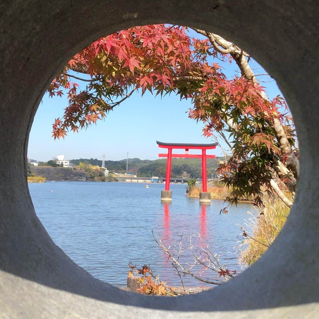 小野真弓のインスタグラム