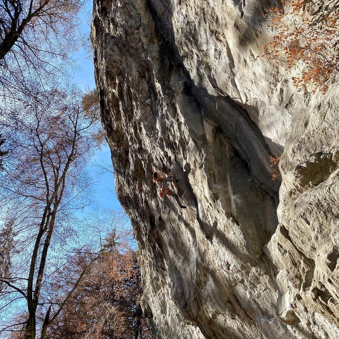 ニナ・カプレツのインスタグラム：「Those last 3 days felt like a dream:  My health is back to normal. I climbed in Switzerland on sandstone with one of my favourite climbing partners @rogerschaeli . I moved on rocks a lot. I had tons of schnupf. I sent an 8a after a couple of weeks off from my sport called “Lotty”. I spent all day outdoors at the sun and in the fresh air. I had a stunning view at the Eiger, Mönch and Jungfrau. I climbed with a new @scarpaspa climbing shoe called #dragolv and with my favourite resoled booster.  Damn, what a gift! #lovelife #rockclimbing #scarpaclimb #petzlteam   @scarpaspa @petzl_official @arcteryx」
