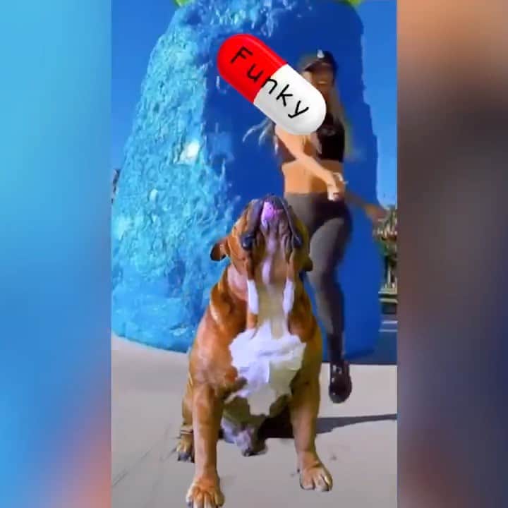 ブロディ・ジェンナーのインスタグラム：「@chemicalsafari appeals to the whole animal kingdom. Here is @thesweetestbeef getting super funky to our first single funkypills. Link in bio」