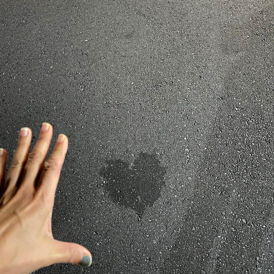 のインスタグラム：「#今日のハート♥️ ちょい遠回りしたらであえた。 まさに#お散歩は三歩でも良し」