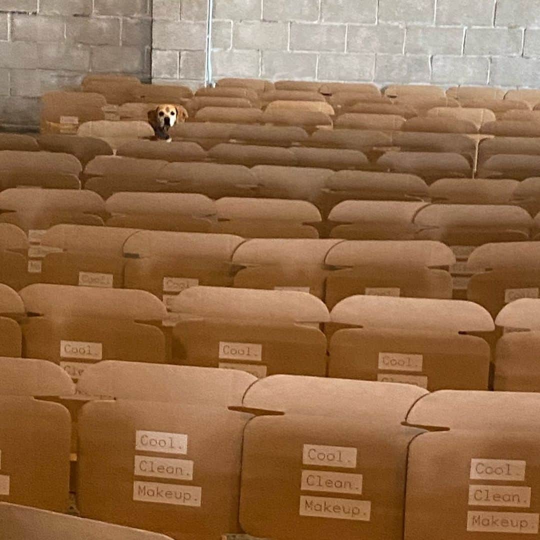 ボビー・ブラウンのインスタグラム：「The pack-up station at our home base with a little help from our friends #biggie the wonder dog #whereswaldo. Spoiler alert — we will be selling our full kits (which we sent to our friends to spread the word about @jonesroadbeauty) on our site for holiday gifts. Sweatshirts and all... date to come. Plus new launches coming next Tuesday..」