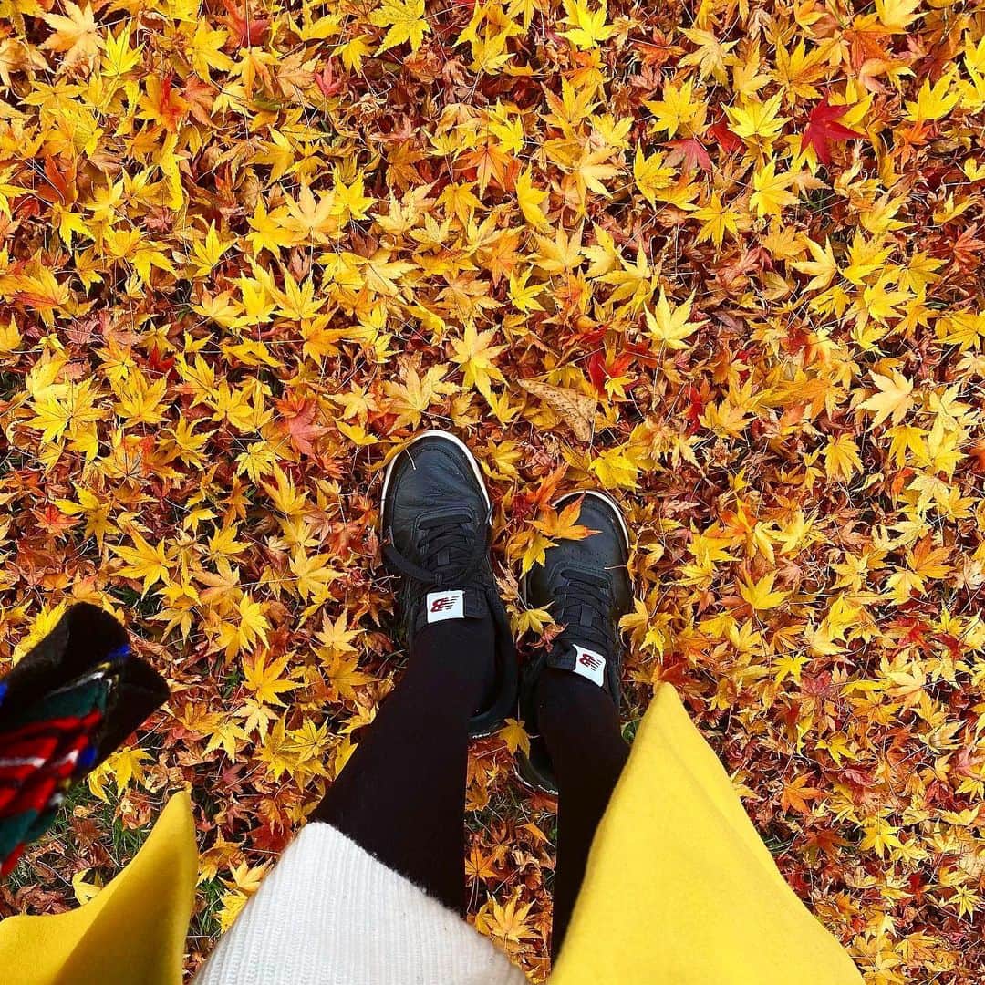 阿部優貴子さんのインスタグラム写真 - (阿部優貴子Instagram)「落ち葉の絨毯🍁 ふわっと可愛らしく葉っぱを持ち上げることができない人。  #にじみ出る躍動感😇  #紅葉🍁  #落ち葉の絨毯 #autumn #気づけばもう週末」11月13日 22時32分 - abe_yuki94
