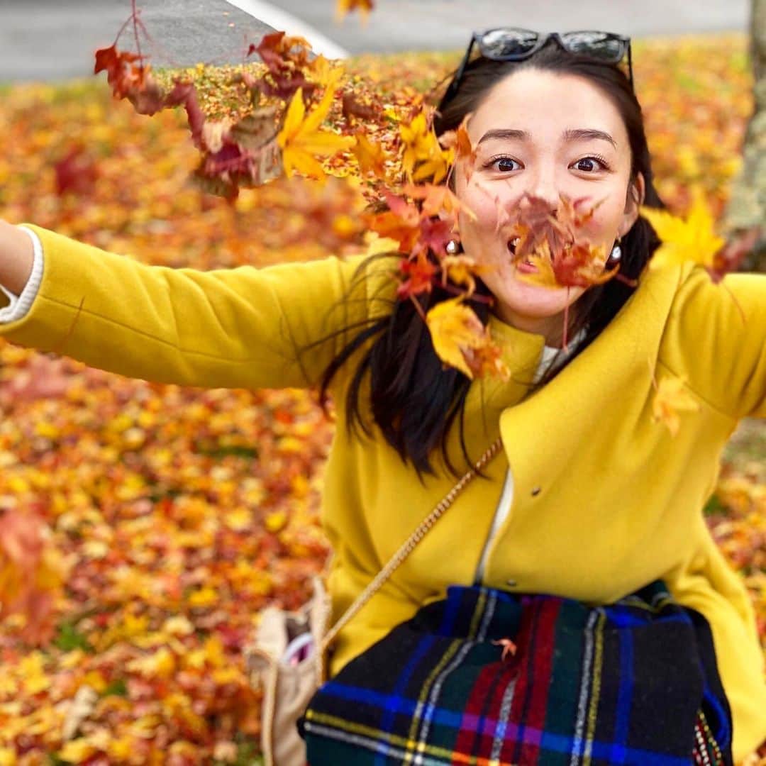 阿部優貴子のインスタグラム：「落ち葉の絨毯🍁 ふわっと可愛らしく葉っぱを持ち上げることができない人。  #にじみ出る躍動感😇  #紅葉🍁  #落ち葉の絨毯 #autumn #気づけばもう週末」
