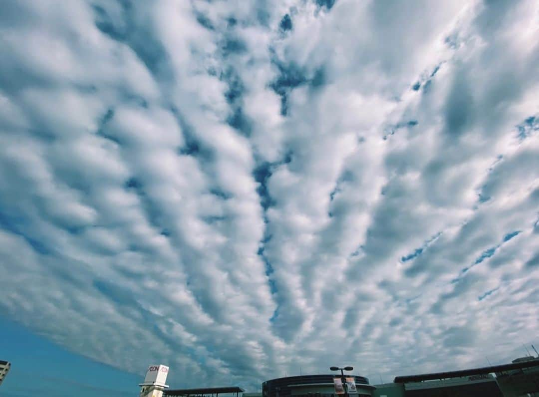 Yoshie Hamaのインスタグラム：「ひつじ雲🐑  #ひつじ雲 #秋の雲 #毎日空を見上げる #つぶやき美容師」