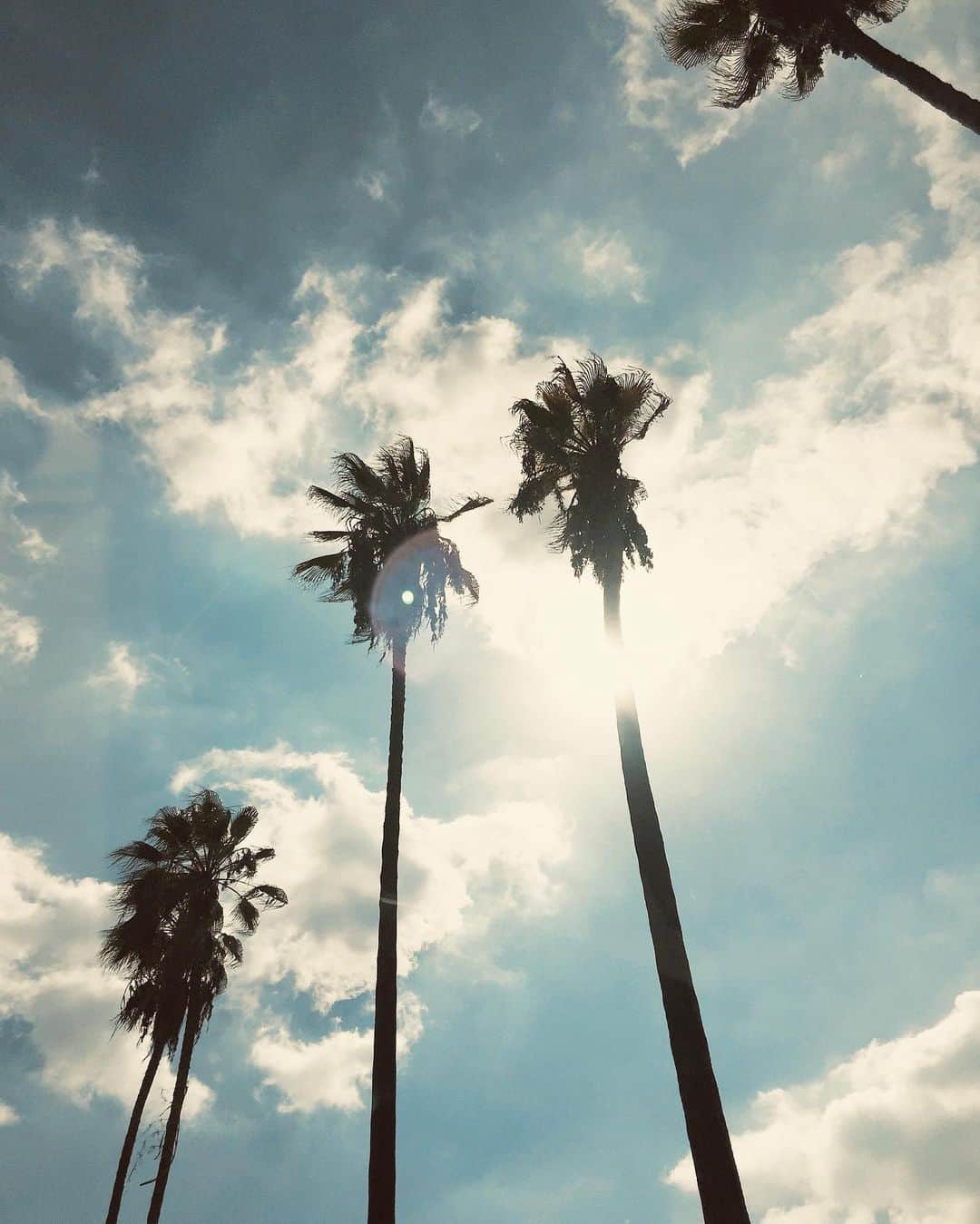 ジュリー・サリニャーナのインスタグラム：「City of Champions! 😍🌴 I love you LA!  #wedidit」