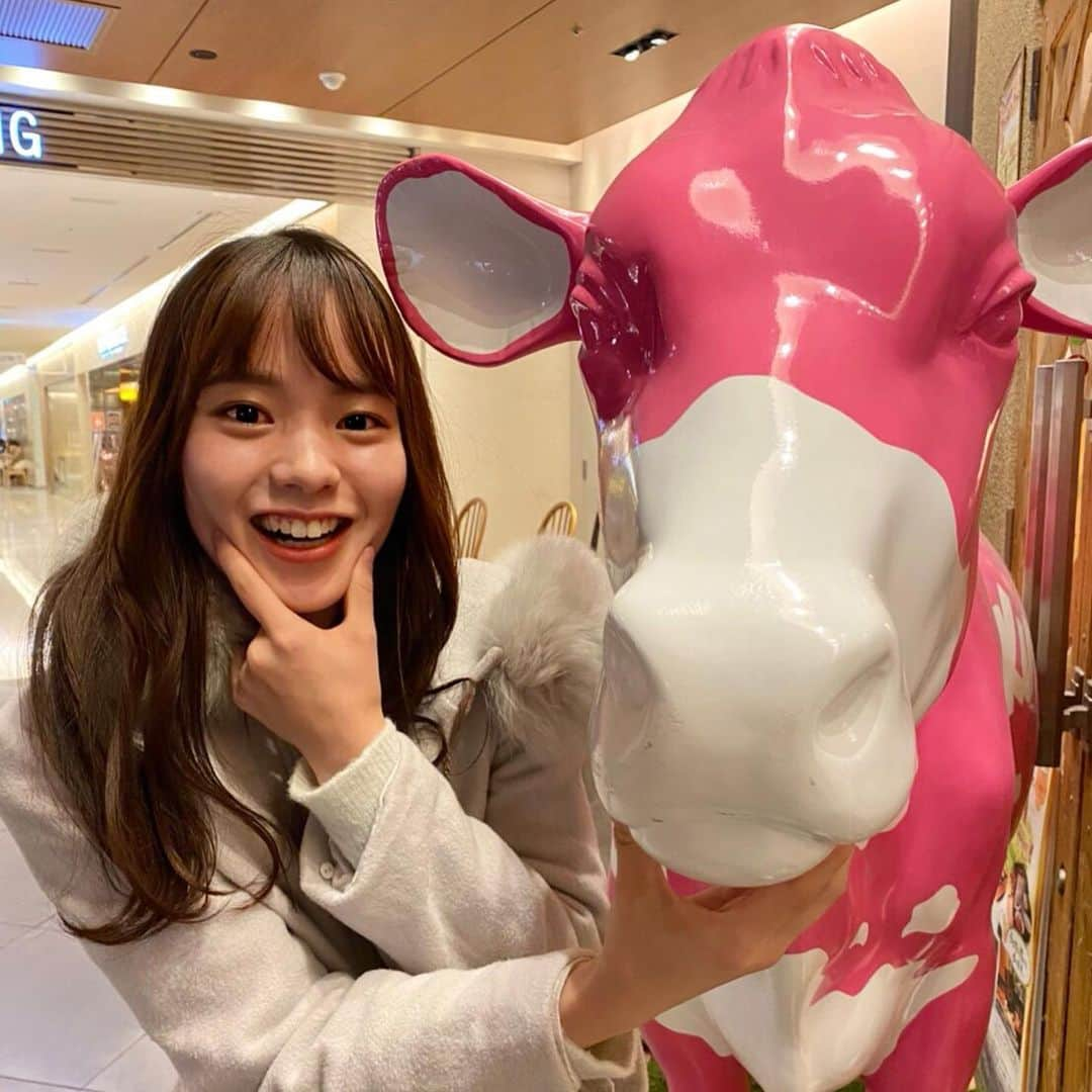 山田千加のインスタグラム：「華の金曜日✨お疲れさまです！  撮影の移動中、 ピンクの牛🐮を見つけたので記念に📸🎞  最近セブンイレブンのチーズ蒸しケーキサンドにはまり、今日も撮影へ向かう途中に食べました🤤🧀  ふわふわでチーズが濃厚で、甘く、 アイスコーヒーと相性抜群です☕️🙌🏻  コンビニで買えちゃう手軽さも良いですね♪  本日も投票よろしくお願いします🍀  #ファイナルイベント #11月22日 #ミスキャンパス同志社2020 #ミスキャンパス同志社 #ミス同志社  #ミスキャン #ミスコン #チーズ #牛」