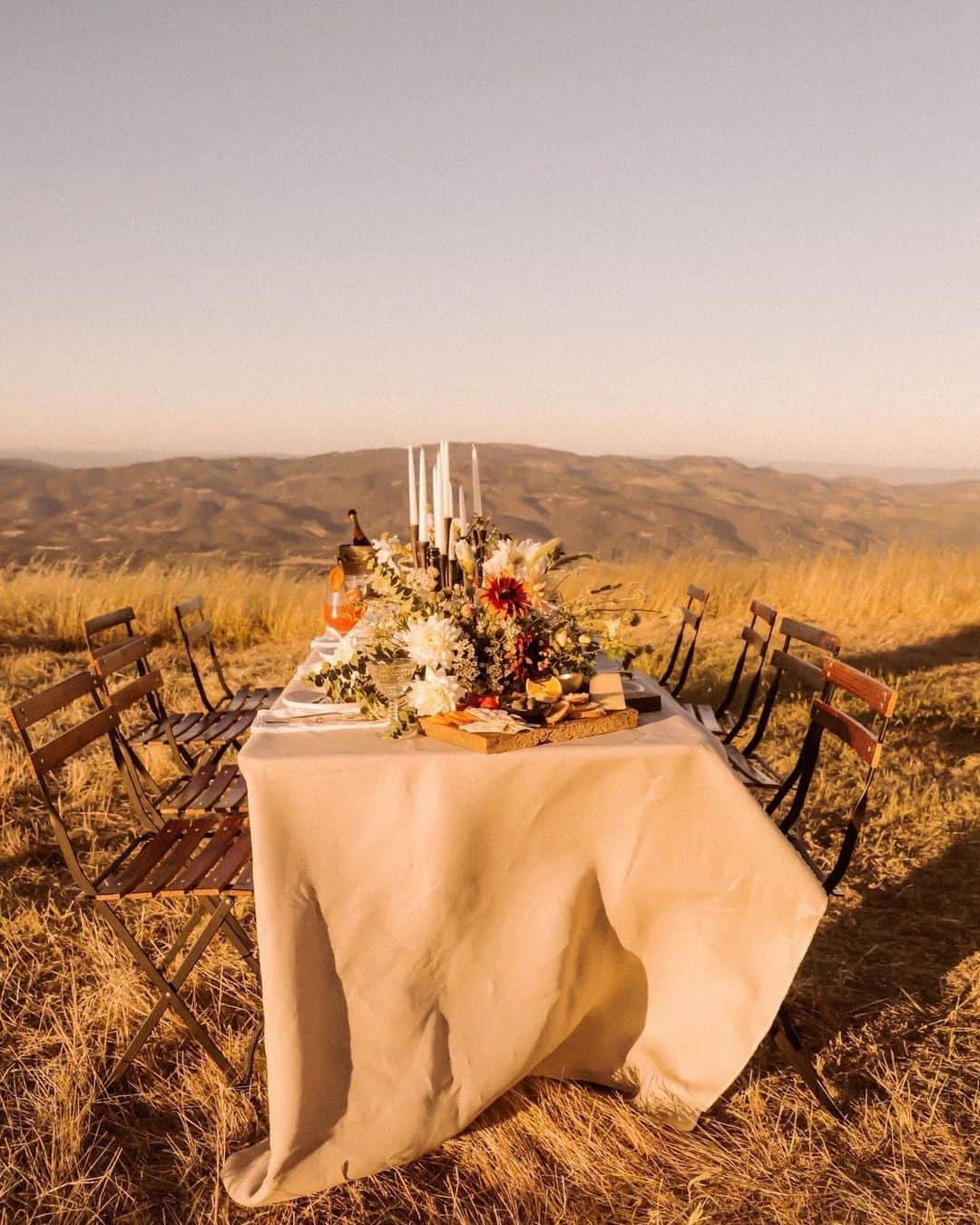 MT DOMAINEさんのインスタグラム写真 - (MT DOMAINEInstagram)「#FlowerFriday might just be our favorite day of the week. 🌼📸: @sophiejameswine」11月14日 0時00分 - mydomaine