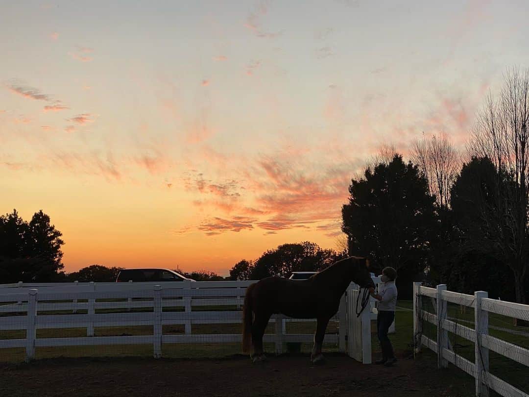 軍地彩弓さんのインスタグラム写真 - (軍地彩弓Instagram)「本当に素晴らしい一日でした。 紗栄子ちゃんがクラウドファンディングでスタートした、Nasu Farm Village。 引退した競走馬たちが殺処分になっている現実を変えるために、紗栄子ちゃんは牧場を買い取り、保護馬を育てる施設を作ることを決心しました。  この場所自体が本当に美しい。 広大な牧場にのびのびと生きる馬たち。 私たちは乗馬体験をさせていただきました。最初は怖々でしたが、夕焼けを背景に広大な牧草地をゆっくりと馬さんと散歩。 段々心が通じて、優しい気持ちが伝わって。 ああ、「愛情」は波長なんだな、と感じたり。 東京にいると忘れがちなことを、ここでは取り戻せる。  何より、ロンドンから縁のない那須に移り住み、馬さんを守る為に働く紗栄子ちゃんに感激しました。  夕焼けに包まれたあの光景は一生忘れないだろうな。  みんなで一緒に優しい気持ちに満たされることの尊さ。  これからいろんなやりたいことがふつふつと湧いてきます。  まずは、この素晴らしい景色と馬さんに会いに来てください❣️🐴🐴🐴🐴🐴🐴🐴🐴🐴🐴.  https://camp-fire.jp/?utm_source=google&utm_medium=cpc&utm_campaign=02&gclid=Cj0KCQiA-rj9BRCAARIsANB_4AB3yXrZM-C_fR_tfUjvBZl5_vGEgp6-ArDWv6esP9Knvy8f7vIKrecaAqS5EALw_wcB#argument=33pKQw5N&ai=a5d1edc4fa276d  ごはんも美味しかったー！ 移住したくなりました❤️#nasufarmvillage」11月14日 0時17分 - sayumi7