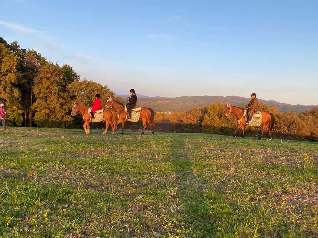 軍地彩弓さんのインスタグラム写真 - (軍地彩弓Instagram)「本当に素晴らしい一日でした。 紗栄子ちゃんがクラウドファンディングでスタートした、Nasu Farm Village。 引退した競走馬たちが殺処分になっている現実を変えるために、紗栄子ちゃんは牧場を買い取り、保護馬を育てる施設を作ることを決心しました。  この場所自体が本当に美しい。 広大な牧場にのびのびと生きる馬たち。 私たちは乗馬体験をさせていただきました。最初は怖々でしたが、夕焼けを背景に広大な牧草地をゆっくりと馬さんと散歩。 段々心が通じて、優しい気持ちが伝わって。 ああ、「愛情」は波長なんだな、と感じたり。 東京にいると忘れがちなことを、ここでは取り戻せる。  何より、ロンドンから縁のない那須に移り住み、馬さんを守る為に働く紗栄子ちゃんに感激しました。  夕焼けに包まれたあの光景は一生忘れないだろうな。  みんなで一緒に優しい気持ちに満たされることの尊さ。  これからいろんなやりたいことがふつふつと湧いてきます。  まずは、この素晴らしい景色と馬さんに会いに来てください❣️🐴🐴🐴🐴🐴🐴🐴🐴🐴🐴.  https://camp-fire.jp/?utm_source=google&utm_medium=cpc&utm_campaign=02&gclid=Cj0KCQiA-rj9BRCAARIsANB_4AB3yXrZM-C_fR_tfUjvBZl5_vGEgp6-ArDWv6esP9Knvy8f7vIKrecaAqS5EALw_wcB#argument=33pKQw5N&ai=a5d1edc4fa276d  ごはんも美味しかったー！ 移住したくなりました❤️#nasufarmvillage」11月14日 0時17分 - sayumi7