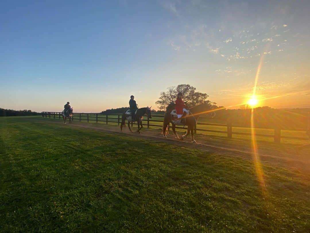 軍地彩弓のグルメインスタ